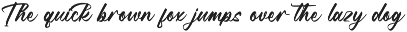 Manteca Backlif Bold Calligraphy preview