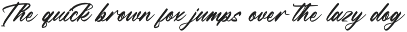 Manteca Backlif Bold Calligraphy preview