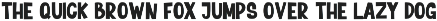 Eventwelfth Bold Playful preview