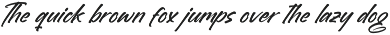 Brighten Shootters Modern Script preview
