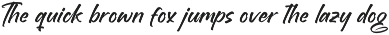 Brighten Shootters Modern Script preview