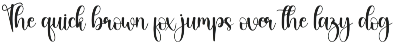 Fishing | Script Font preview