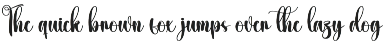 Umbrella | Script Font preview