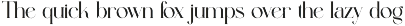 Megina Elegant Serif Typeface preview