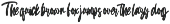 Swatch Out font preview