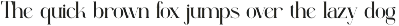 Rugine Elegant Serif Typeface preview
