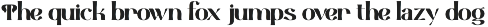 Vigrit - Display Serif for Luxury preview