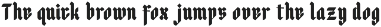 Dravex - Sign Modern Blackletter preview