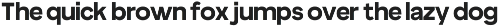 True Arabic - Coorporate Clean Sans preview
