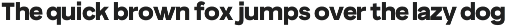 True Arabic - Coorporate Clean Sans preview