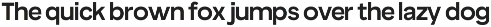 True Arabic - Coorporate Clean Sans preview