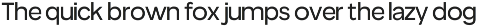 True Arabic - Coorporate Clean Sans preview