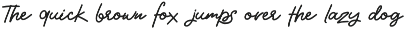 Wyleri Expressive Handwritten Fonts preview