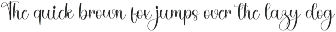 Special Something preview
