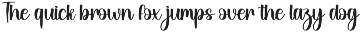Summer Beach | Script Font preview