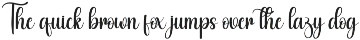 Calligraphy | Script Font preview