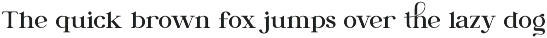 Daisya || Modern Serif Font preview