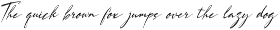 Lowreika Augusta | Classic Signature preview