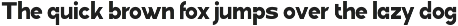 Linea Nova Sans Serif Family preview