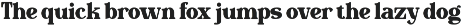 Naken Mantega - Font Duo Typeface preview