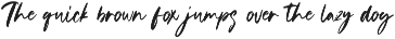 Anestica Natural Handwritten Font preview