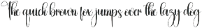 Weighing | Script Font preview