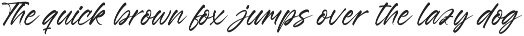 Esylon Sparted Bold Brush Type Font preview