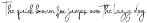 Collection Signature preview
