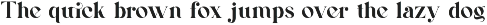 Rouica || Elegant Modern Serif Font preview
