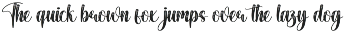 Wonder | Script Font preview