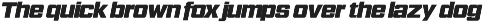 Garp Sans | Sport And Athletic Font preview