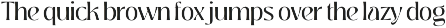 Yandrix | Serif Regular & Italic preview