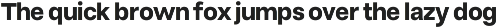 Neutiva Clean Sans Serif preview