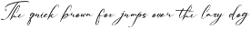 Palmintte | Handwritten Script preview