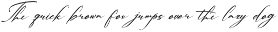 Palmintte | Handwritten Script preview