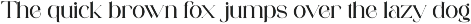 Gafitte - Modern Serif Font preview