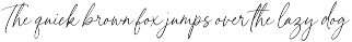 White Camellia Script Font preview