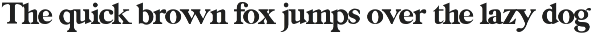 EDEN - MODERN DISPLAY SERIF FONT preview