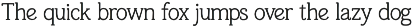 Wild Spruce | Modern Serif Font preview
