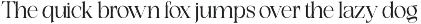 Exactly // Font Serif Family preview