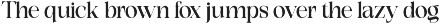 Exactly // Font Serif Family preview