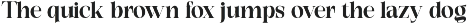 Exactly // Font Serif Family preview