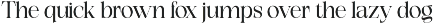 Exactly // Font Serif Family preview
