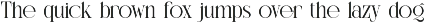 Lenior || Modern Classy Serif Font preview