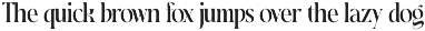Magoth Modern Serif Display Font preview