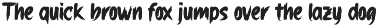 Donsky | Brush Font preview
