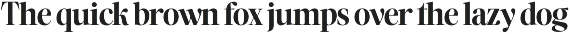 Palvani | Modern Elegant Serif Typef preview