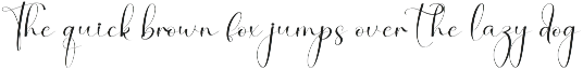 Berlin City | Script Font preview