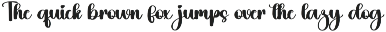 Pumpkin preview