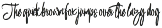 Brushability Handwritten Brush Font preview